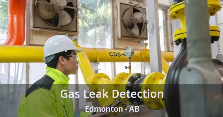 Gas Leak Detection Edmonton - AB